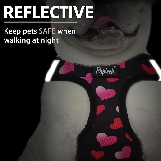 PUPTECK Dog Harness and Leash Set for Small Medium Dogs No Pull Step-in Soft Mesh Puppy Cat Vest Valentine Harnesses Reflective at Night, Black&Pink Heart, XS