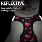 PUPTECK Dog Harness and Leash Set for Small Medium Dogs No Pull Step-in Soft Mesh Puppy Cat Vest Valentine Harnesses Reflective at Night, Black&Pink Heart, L