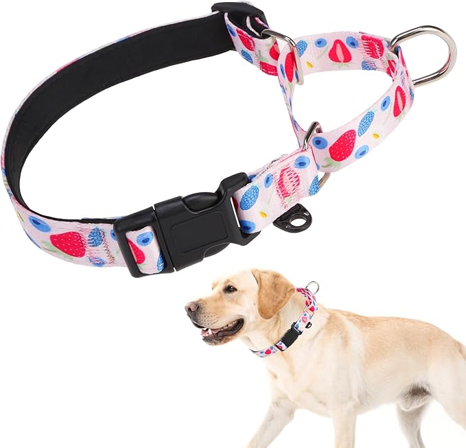 KOOLTAIL Martingale Collar for Dogs for Small Medium Large Dogs, Soft Padded Nylon No Pull Dog Collar with Buckle, Adjustable No Slip Heavy Duty Durable Puppy Training Collar for Boys Girls, Pink L