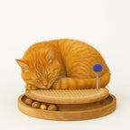 Cat Scratching Pads Interactive Cat Toys Natural Sisal Toys with Interactive Play Balls – Indoor Cat Scratcher Post for Furniture Protection, Exercise & Stress Relief 12.5 x 12.5 x 3