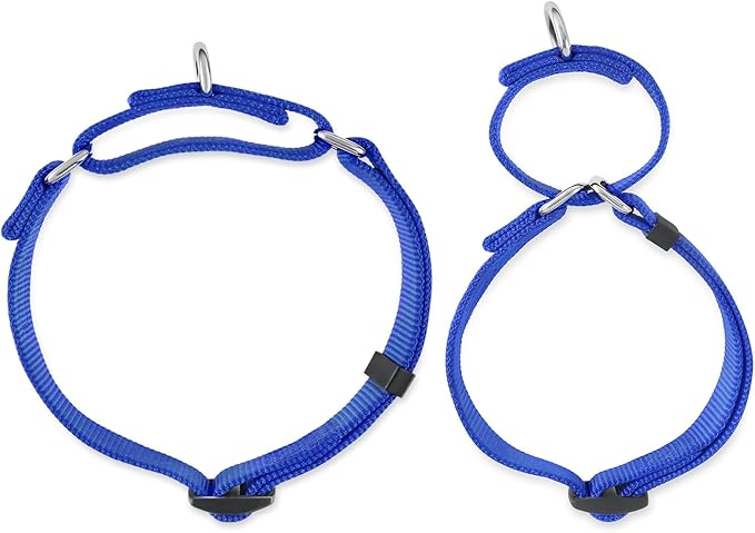 Hyhug Martingale Collar for Dogs Small Blue |Escape - Proof Heavy Duty Nylon Durable No Buckle, Ideal for Training & Daily Walks