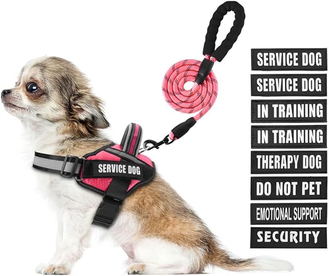 Service Dog Vest Harness and Leash Set, Animire in Training Dog Harness with 10 Dog Patches, Reflective Dog Leash with Soft Padded Handle for Small, Medium, Large, and Extra-Large Dogs (Rosy,XS)