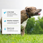 Premier Pet Dog Shock Collar - Safe Behavior Training - 1000ft Long Range Training Shock Collar with Remote - Waterproof Rechargeable Design - 3 Modes - 16 Levels of Static Stimulation - 2 Collars