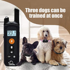 Dog Training Collar | Shock Collar with Beep | Vibration, Safe Static | Dog Training Collar with Remote 1500FT | Waterproof Rechargeable E-Collar, Security Lock for All Dogs (Upgraded) (Pink)