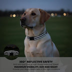 Dog Training Collar Replacement and Shock Collar Strap - 3/4 Inch Wide Adjustable Nylon Band with Reflective Replacement Strap for E Collar and Bark Collar (Black)
