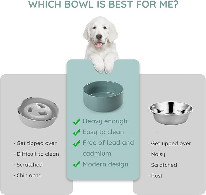 SPUNKYJUNKY 60OZ Ceramic Dog and Cat Bowl, Modern Cute Weighted Food Water Bowl for Replacement Light Green (2 Pack)