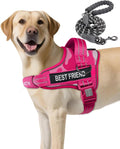 AUROTH Dog Harness and Leash Set, Soft Padded Service Dog Vest with 5.25FT Dog Leash, No Choke, Easy On Pet Vest, Adjustable Reflective No Pull Dog Harness for Large Dogs, Easy Walking and Training