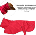 Dachshund Coats Waterproof, Perfect for Dachshunds, Sausage, Weiner Dog Winter Coat with Padded Fleece, Puppy Snowsuit with Adjustable Bands and High Vis Reflective Trim - Red - XS