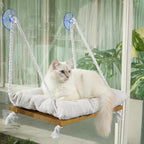 Cat Window Perch