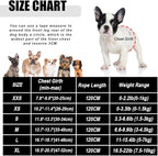 FEimaX Dog Harness and Leash Set for Walking, Soft Mesh Adjustable Easy Control Lightweight Cat Vest Harnesses with Reflective Strips, Escape Proof Small Dogs Cats Vests (Blue, Large)