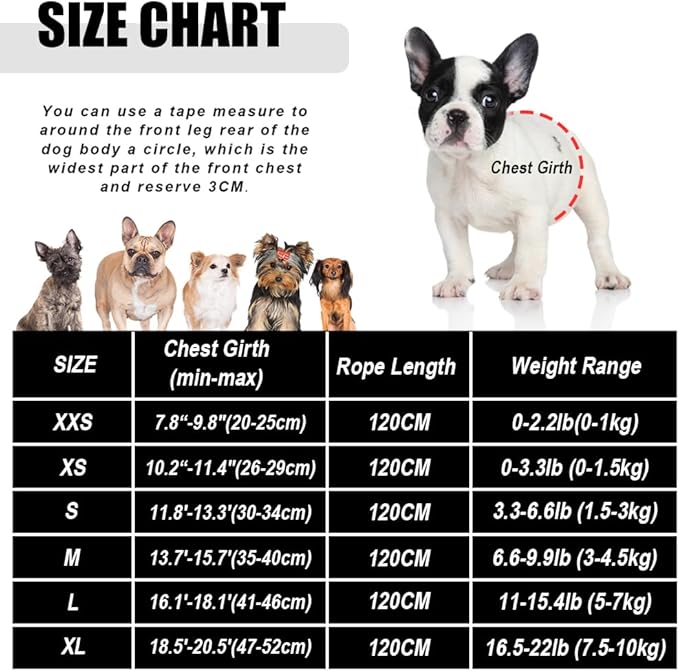 FEimaX Dog Harness and Leash Set for Walking, Soft Mesh Adjustable Easy Control Lightweight Cat Vest Harnesses with Reflective Strips, Escape Proof Small Dogs Cats Vests (Black, Large)