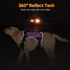 Heavy-Duty Tactical Dog Harness for Large Dogs, No Pull Adjustable Reflective Pet Vest with Molle System, K9 Military-Grade Control for Service Training, Outdoor & 10+ Breeds, Purple Camo, XX-Large