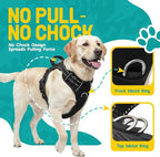 No Pull Dog Harness and Leash Set for Large Dogs – Adjustable Reflective Breathable Soft Padded Easy Control Dog Harness for Training & Walking, Black (Large)