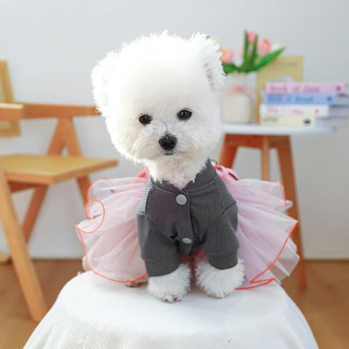 Furbabycare® Elegant Sweet Fashion Puppy Dog Blingbling Princess Skirt Pet Dog Lace Cake Camisole Tutu Dress P-Gray X-Small