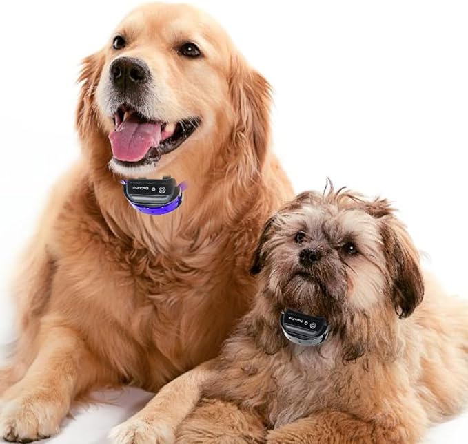 27 ½” X ¾” Replacement Dog Collar Strap Band w/Double Buckle Loop 2-Pack - All Brands Pet Training Bark, Shock, e-Collars and Fences. Variety of Bold Standard Colors & Reflective Choices.