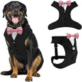 AVERYDAY Dog Tuxedo for Wedding Outfit, Dog Suit and Tie Costumes for Birthday, Halloween, Cosplay, Christmas Party, Pet Formal Wear with Bowtie, Tux for Medium Large Dogs, Bulldog, Labrador, Husky