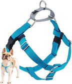 2 Hounds Design Freedom No Pull Dog Harness, Adjustable Harness, Easy Walking & Comfortable Control, Fits Small, Medium & Large Dogs, Solid Colors, Made in USA, 1" XXL, Turquoise