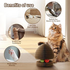 Cat Toys, Magic Organ Scratching Board, Reversible Interactive Cat Toys Scratching, Cardboard,Kitten Scratcher Pads with Catnip Ball(1PC)