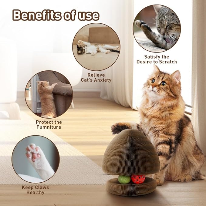 Cat Toys for Indoor Cats, Kitty Magic Organ Scratching Board, Reversible Interactive Cat Toys Scratching, Cardboard,Kitten Scratcher Pads with Catnip Ball(2PCS)