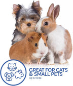 Petmate Top Load Plastic Cat Kennel for Small Dogs, Puppies & Cat Carriers, One-Door, Top Loading, Made in USA, 19" for Pets Up Tp 10 lb, Purple
