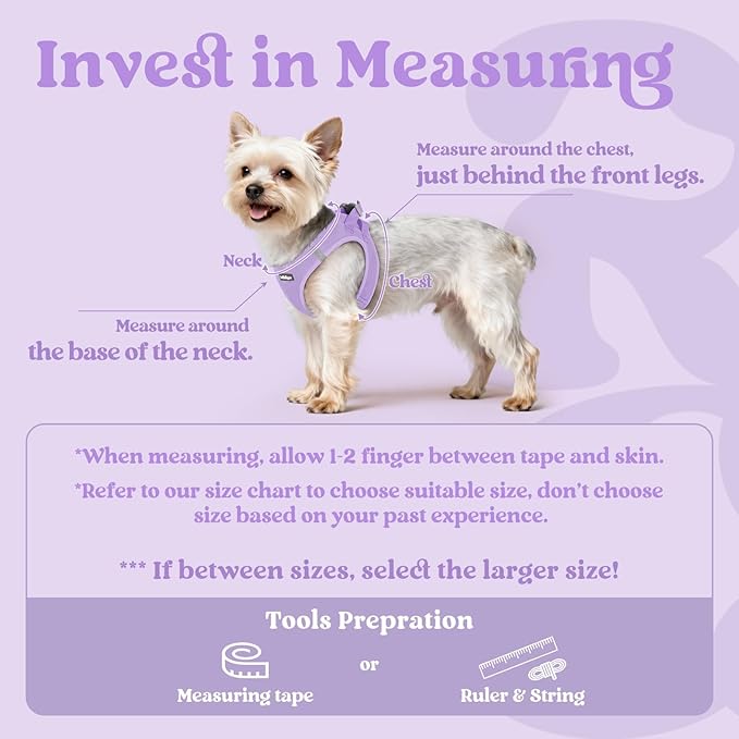 rabbitgoo Small Dog Harness, Step-in Soft Mesh Puppy Vest with Safety Buckle, Breathable Reflective Pet Harness for Small Sized Dogs, Light Purple XS