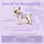 rabbitgoo Small Dog Harness, Step-in Soft Mesh Puppy Vest with Safety Buckle, Breathable Reflective Pet Harness for Small Sized Dogs, Light Purple XS
