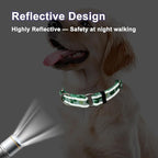 St.Patrick's Day Reflective Martingale Collar for Dogs with Quick Release Buckle Spring Clover Holiday Dog Collars (Shamrock, Medium)