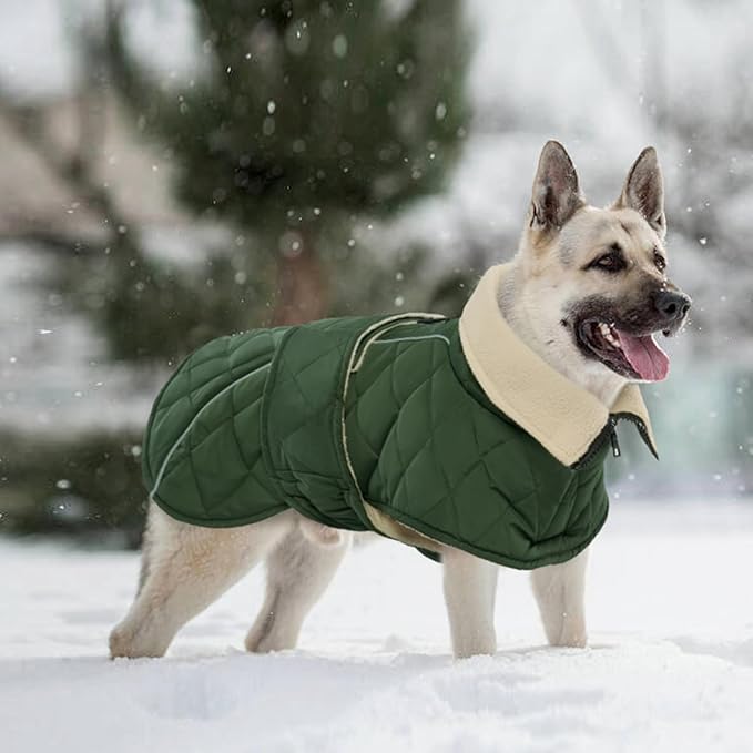 Kuoser Dog Winter Coat Waterproof Dog Snow Jacket, Warm Fleece Lined Pet Turtleneck Snowsuit Puppy Cold Weather Coats with Harness Hole, Adjustable Winter Vest for Medium Large Dogs, Green, L