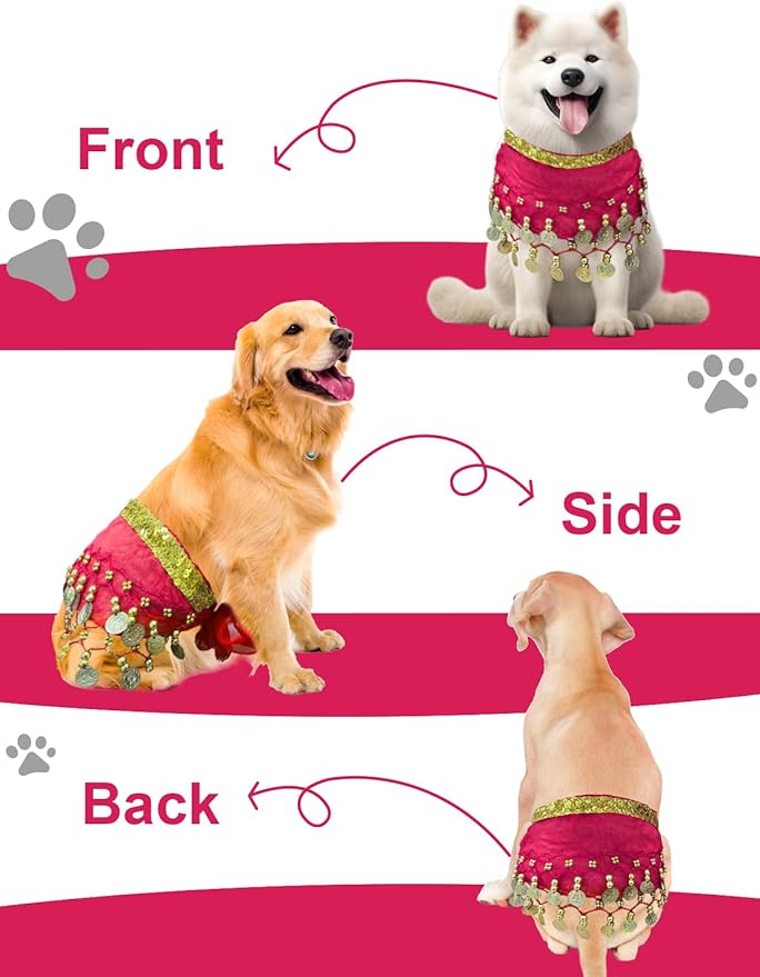 Dog Belly Dancer Costume - Puppy Outfit with Sequin Waist Chain & Hip-Shaking Skirt - Ideal for Corgi and Puppy Birthday Parties or Halloween Celebrations(Small,Rose Red)
