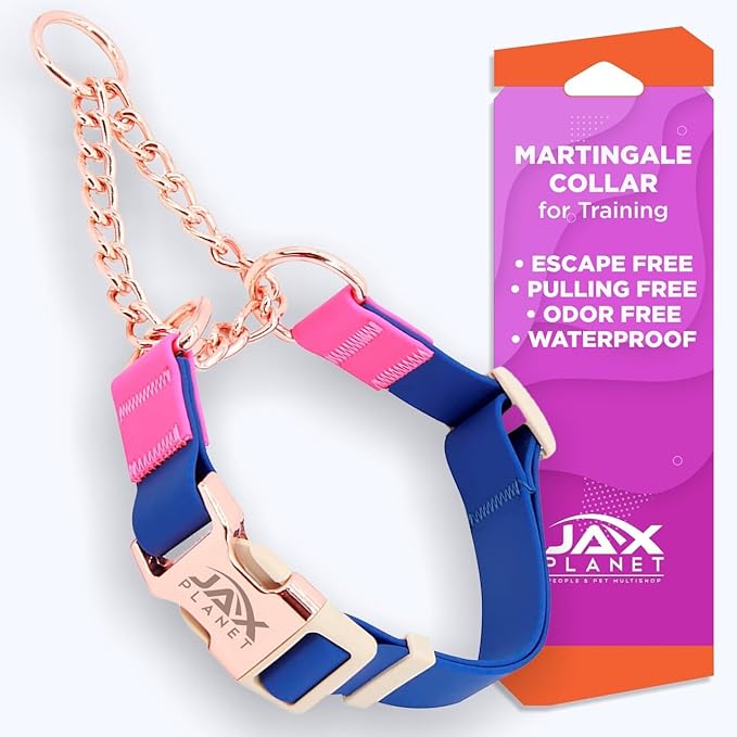 Jelly Waterproof Martingale Dog Collar, No Pull Nylon Collar with Alloy Metal Buckle & D-Ring for Outdoor Training and Walking, Anti Pull, Escape Free, One Time Adjustment - Blue & Rose, L