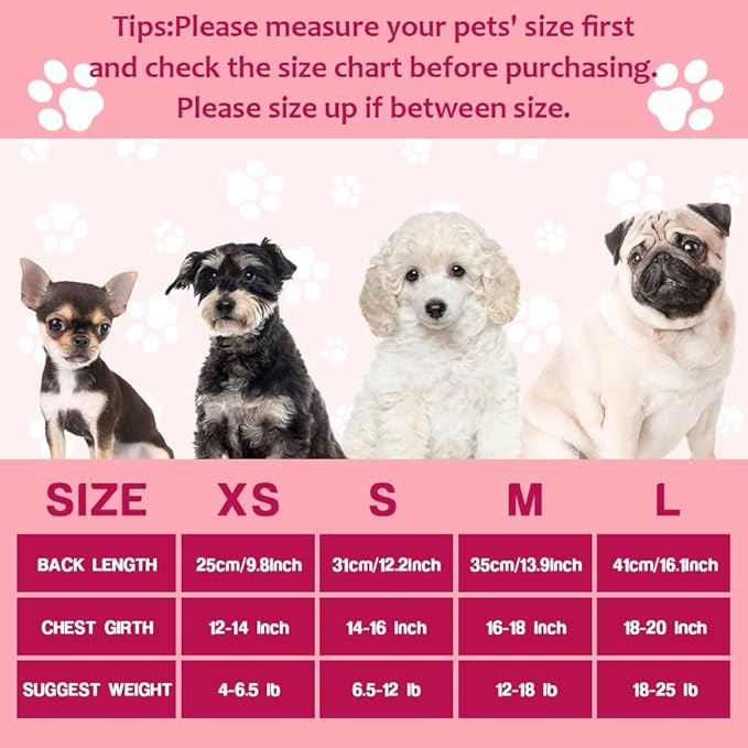 Dog Valentines Day Clothes Be My Pawlentine Dog Valentines Outfit Red Tulle Pet Dress with Bowknot for Small Medium Large Dogs Cat Girl