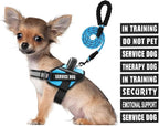 Service Dog Vest Harness and Leash Set, Animire in Training Dog Harness with 10 Dog Patches, Reflective Dog Leash with Soft Padded Handle for Small, Medium, Large, and Extra-Large Dogs (Light Blue,S)