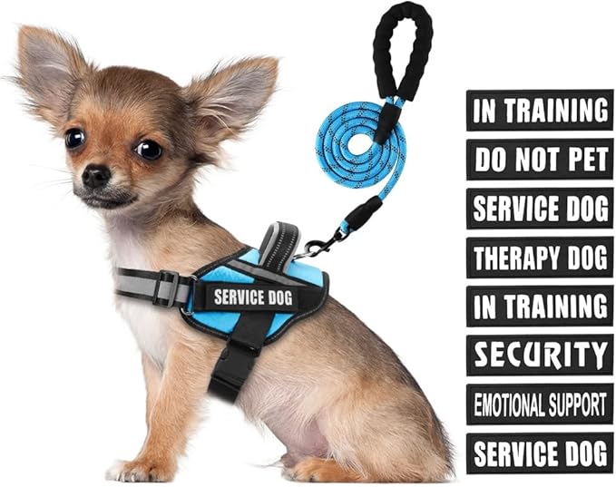 Service Dog Vest Harness and Leash Set, Animire in Training Dog Harness with 10 Dog Patches, Reflective Dog Leash with Soft Padded Handle for Small, Medium, Large, and Extra-Large Dogs (Light Blue,S)