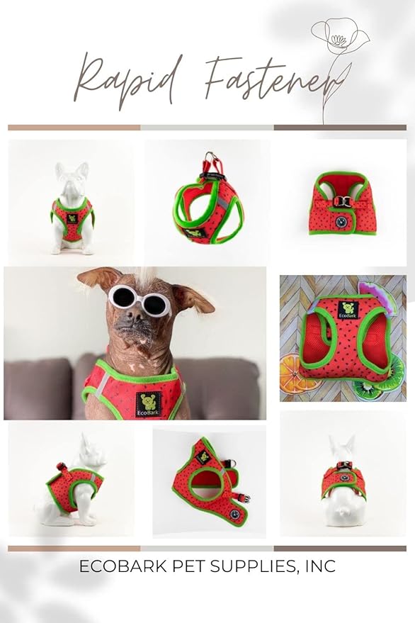 EcoBark Small Dog Harness - Luxury Soft Step in Reflective Ultra Padded Mesh Dog Harnesses for Toy Breed Dogs - Comfortable & Secure Body Halter Pet Vest (Small, Watermelon)