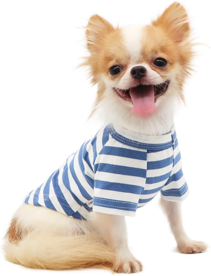 LOPHIPETS 100% Breathable Cotton Striped Dog Tee Shirt T-Shirt for Small Dogs Chihuahua Puppy Clothes -Blue and White Strips/L