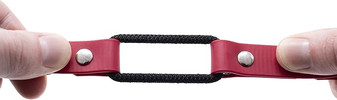 Educator 3/4-Inch Dog Training Collar Strap–ONLY Fits ME-300, ET-300/400, EZ-900, PE-900 & PG-300 Receivers – NOT Compatible with FE-580, ET-800 or UL-1200–Quick Snap Biothane Bungee Collar, Red