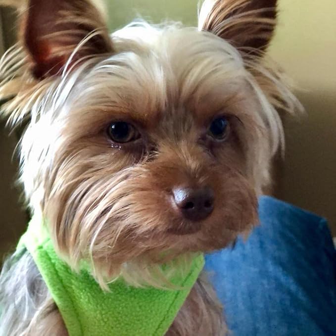Gooby - Stretch Fleece Vest, Pullover Fleece Vest Jacket Sweater for Dogs, Grass Green, 2X-Large