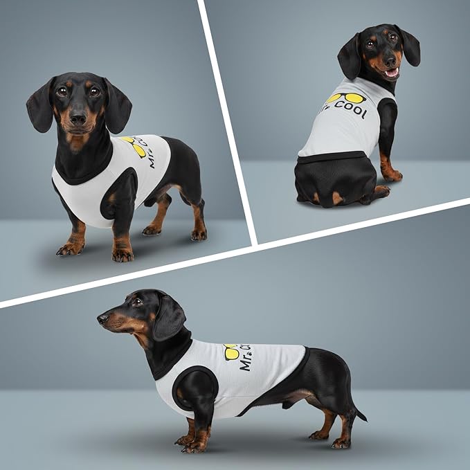 2Pack Dog Shirts for Boy, Dog Clothes (up to 38 lbs.), Puppy Clothes, Pet T Shirt for Small and Medium Breeds, Tank Top, Chihuahua & Yorkies & Dachshund Outfit, Cotton Fabric(2pcs,Small)