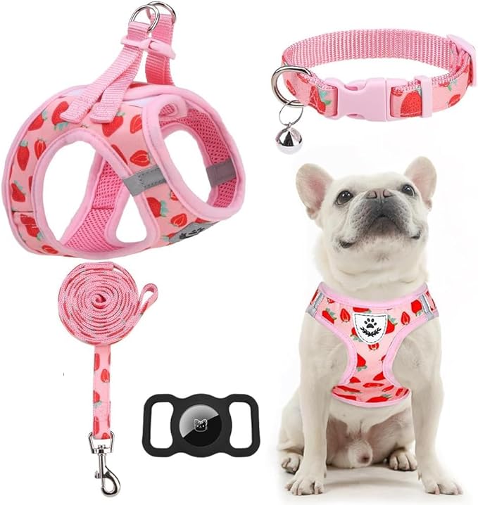 EXPAWLORER Small Dog Harness and Leash Set - Cute Puppy Harness Leash Dog Collar with AirTag Holder Silicone Case, Soft Padded Step in Pet Vest Reflective for Outdoor Walking, Strawberry XXS