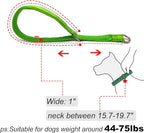 Reflective Slip Dog Collar, Loop Dog Collar for 44-75 lbs Dogs Nylon Training Collars with Soft Padded for Medium Dog Collars Green 1" W x 22" L (Fits Neck 15.7"-19.7")