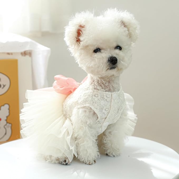 Fashion Sweet Puppy Dog Blingbling Princess Skirt Pet Dog Lace Cake Camisole Tutu Dress G-White L