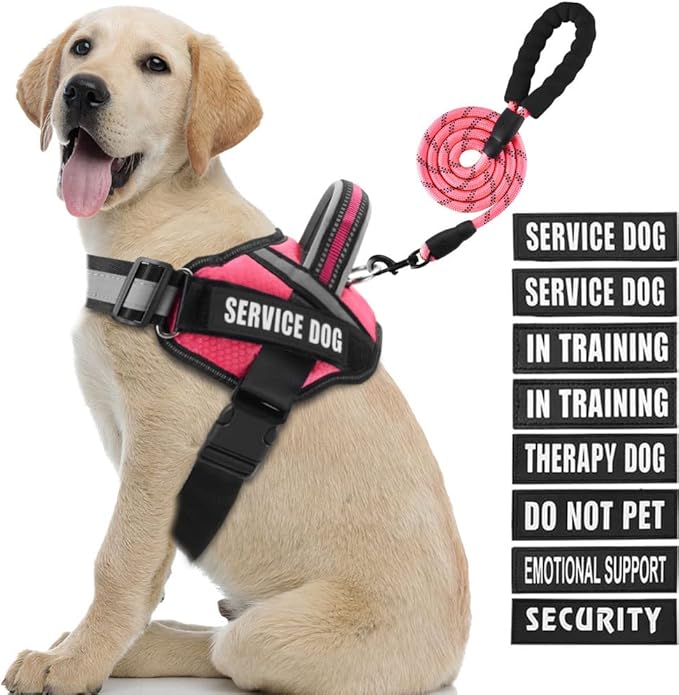 Service Dog Vest Harness and Leash Set, Animire in Training Dog Harness with 10 Dog Patches, Reflective Dog Leash with Soft Padded Handle for Small, Medium, Large, and Extra-Large Dogs (Rosy,L)