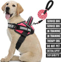 Service Dog Vest Harness and Leash Set, Animire in Training Dog Harness with 10 Dog Patches, Reflective Dog Leash with Soft Padded Handle for Small, Medium, Large, and Extra-Large Dogs (Rosy,L)
