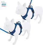 Voyager Dog Harness Dual Leash Attachment No-Pull Control Adjustable Soft but Strong Pet Harness for Medium and Large Dogs with 3M Reflective Technology, Leash Set Royal Nylon, XS (Chest: 13-16")