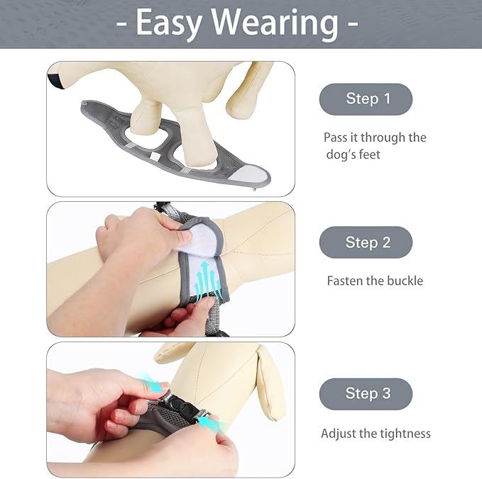 Dog Harness for Small Dogs and Leash Set, Honeycomb Grid, Reflective Lightweight Harness & Anti-Twist Pet Lead (Multi Color, Size: XS-S-M) (S, Grey)