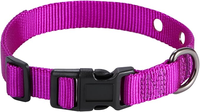 3/4 Inch Dog Shock Collar Replacement Strap with 2 Holes - Compatible with Most Brands of Ecollar Dog Fences and Training Collars, Purple