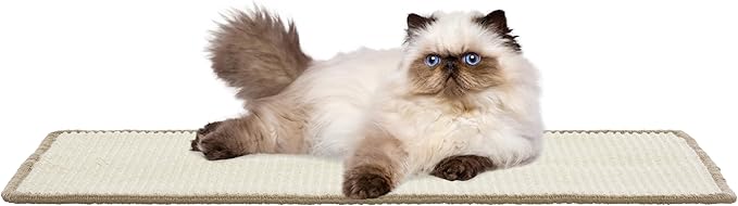 SAFAVIEH Cat Scratch Mat Pad Collection, 12" x 20", Oval, Ivory, Sisal & Jute Boucle Weave, Velcro & Slip Resistant Backing