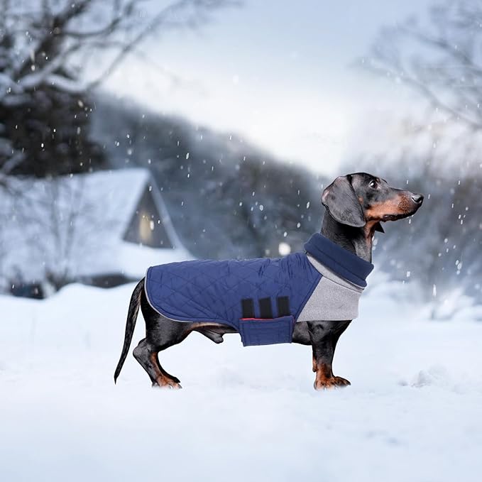 Geyecete Dachshund Coat,Dachshund Winter Coat,Warm Waterproof Windproof, High Neckine String Holes Miniature Dachshund Jacket for Small Dog-Navy-XS