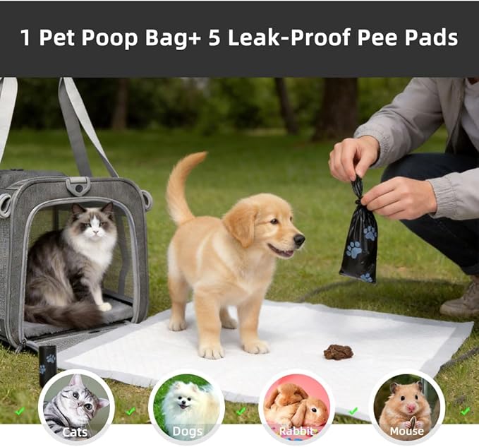 Cat Carrier Soft Sided Dog Carrier Airline Approved Pet Carrier for Dog/Cat Bag (17.32×9.84×10.63 in) with 1 Poop Bags,5 Pee Pads,Ideal for Medium-Large Cats Small Dogs