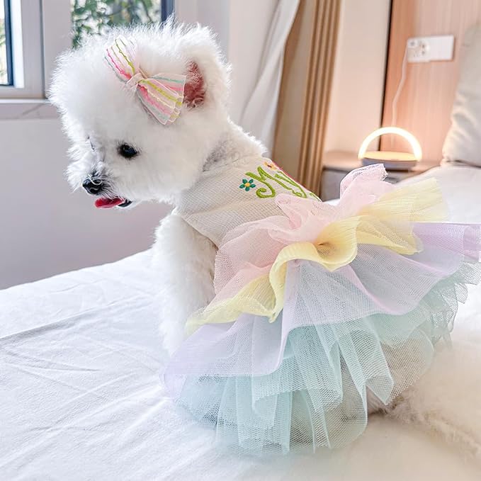 ANIAC Happy 1st Easter Dog Dress Girl Holiday Puppy Clothes for Small Dog Easter Cat Outfit Eggs Print Rainbow Doggy Princess Tutu Dress Pet Clothing (Large)